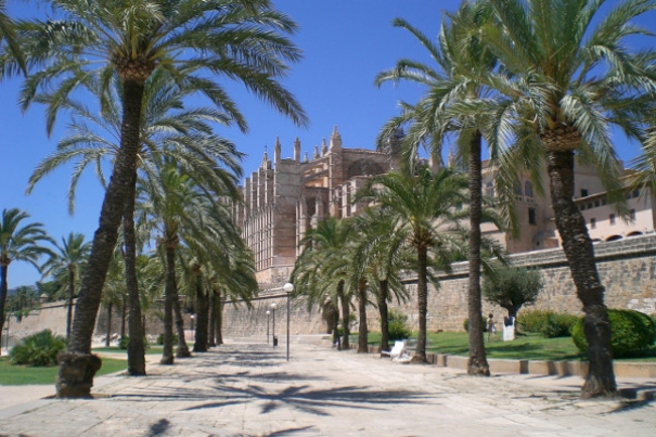 Visita A La Catedral De Palma De Mallorca